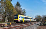 612 137 und 612 052 als RE 3054 (Singen - Basel Bad Bf) im Bahnhof Grenzach 20.3.26