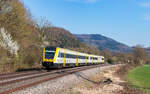 612 019 und 612 133 als RE 3058 (Singen - Basel Bad Bf) bei Schwörstadt 20.3.26