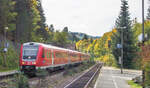 612 963 raste am 17.9.24 in Rupprechtstegen am schattigen Bahnsteig von Gleis 2 vorbei.