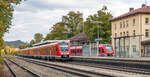 612 012 und 622 547 trafen sich am Abend des 15.10.25 in Hersbruck (rechts der Pegnitz).