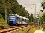 Vlexx 622 904 am 21.08.2021 auf der linken Rheinseite bei Königsbach