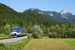 Der BRB-VT 469 kommt am 06.09.2023 auf seinem Weg von Bayrischzell nach München in Fischbachau an