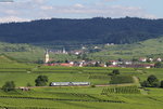 VS 202 und VT 126 als SWE74224 (Breisach-Riegel Malterdingen NE) bei Burkheim 4.7.16