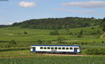 VT 127 als SWE74229 (Riegel Malterdingen NE-Breisach) bei Burkheim 4.7.16