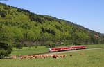 628 623-0 und 628 668-5 als RB 23609 (Miltenberg-Seckach) bei Weilbach 10.5.17