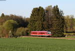 628 224-8 als RB 23621 (Miltenberg-Seckach) bei Hainstadt 10.5.17