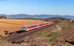 628 467 und 628 471 als RE 12015 (Neustadt(W) Hbf - Karlsruhe Hbf) bei Insheim 18.3.26