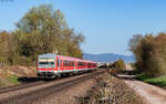 628 445 und 628 475 als RE 12017 (Neustadt(W) Hbf - Karlsruhe Hbf) bei Insheim 18.3.26
