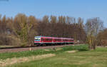 628 467 und 628 471 als RE 12023 (Neustadt(W) Hbf - Karlsruhe Hbf) bei Steinweiler 18.3.26