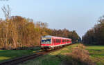 628 471 und 628 445 als RE 12032 (Karlsruhe Hbf - Neustadt(W) Hbf) bei Kandel 18.3.26