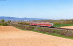 628 445 und 628 467 als RE 12027 (Neustadt(Weinstr) Hbf - Karlsruhe Hbf) bei Insheim 7.4.26