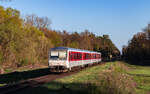 628 501  Hörnum  und 628 507  List  als RE 12036 (Karlsruhe Hbf - Neustadt(Weinstr) Hbf) bei Kandel 7.4.26