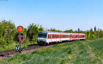 628 501  Hörnum  und 628 455 als RE 12026 (Karlsruhe Hbf - Neustadt(W) Hbf) bei Kandel 22.4.26