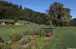 Am 19. September 2026 begann der Tag an einem Bauerngarten mitten auf einer Wiese bei Ramsbach. Der Grund war der Sylt-Shuttle-Plus 628 507  List  der auf dem RB 39061 als Sonderzug nach Bad Griesbach unterwegs war. 


Ramsbach. Dort wurde der erste Umlauf des Tages nach Bad Griesbach in Form des RB 39061 aufgenommen. Ganz nett f�hrt der 928 507 hier an einem kleinen Strebergarten und einem Baum vorbei.