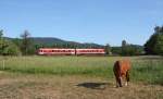 Unbekannte 628 als RB 28340 von Frth/Odenw nach Weinheim/Bergstr.Aufgenommen am 13.05.11 bei Rimbach.