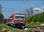 . Sommerzeit ist Blumenzeit - Die wilden Mhren tanzen im Wind, als der RE 5211 Luxembourg - Trier Hbf ohne Halt durch den Bahnhof von Mertert dieselt. 16.07.2013 (Jeanny)