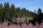 628 702-3 als RB 26923 (Titisee-Seebrugg) bei Aha 31.7.15