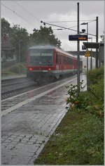 Waren früher die VT 628 hier oft zu sehen, sind sie mit der fortschreitenden Elektrifizierung im Raum Schaffhausen so selten geworden, dass sogar ein Nachschuss lohnt.
