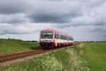 neg 628 071-2 fährt auf der Kleinbahn von Niebüll nach Dagebüll Mole und hat hier soeben den Haltepunkt Maasbüll verlassen.
