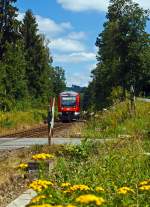 640 008 (LINT 27) der 3-Länder-Bahn als RB 93 (Rothaarbahn) kommt von Bad Berleburg hier am 11.08.2012 an einem unbeschrankten Bahnübergang in Kreutztal-Ferndorf, nächter Halt Bf Ferndorf.
