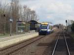 Harz Elbe Express eingefahren von Halle (Saale) Hbf nach Bernburg in Wallwitz am 25.03.2014.