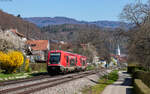 641 016 und 641 038 als RB 17256 (Lauchringen - Basel Bad Bf) bei Schwörstadt 20.3.26