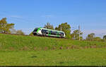 Nachschuss auf 641 007-9 (Alstom Coradia A TER) in der Saale-Elster-Aue bei Schkopau.