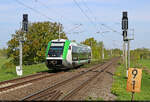 641 003-8 (Alstom Coradia A TER) am Einfahrsignal von Schkopau am km 9,1.
Fotografiert vom Saaleradweg an der Br�cke.

🧰 S-Bahn Mitteldeutschland (DB Regio S�dost)
🚝 S 16813 (S11) Halle(Saale)Hbf–Querfurt
🕓 29.4.2025 | 10:58 Uhr