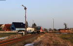 642 022 als RE 16562 (Erfurt Hbf-Nordhausen) in Hohenebra Ort 24.2.21