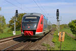 Gast aus dem Elbsandsteingebirge: Nachschuss auf 642 037-5 (Siemens Desiro Classic) der Nationalparkbahn bei Schkopau. Dieser f�hrt leer Richtung Halle-Ammendorf.
Foto vom �ffentlichen Weg an der Saalebr�cke.

🧰 DB Regio S�dost
🕓 29.4.2025 | 10:54 Uhr
