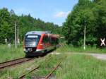 eine Flughafenratte am 25.05.2005 in Ulbersdorf