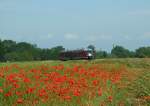 Am 05.06.2011 passiert 642 084 ein mit Mohn durchsetztes Rapsfeld bei Kleinktz.