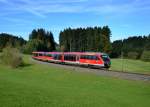 642 123 + 642 215 als RB nach Fssen am 19.10.2013 bei Leuterschach.