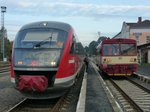 DB Regio 642 157 und CD 810 600-7 am 15.10.16 in Tschechien.