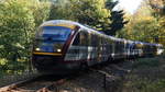 Bunt wie das Herbstlaub kommt die Städtebahn Sachsen mit den beiden Desiro 642 333 und 642 829 als RB72 durch den Wald am Geisingberg auf der Fahrt von Heidenau nach Kurort Altenberg;