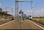 642 025 (Siemens Desiro Classic) der Nordthüringenbahn (DB Regio Südost) als RE 16579 (RE56) nach Erfurt Hbf trifft auf 9442 118 (Bombardier Talent 2) von Abellio Rail Mitteldeutschland als