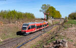 643 014  Kirrweiler  als RB 81415 (Neustadt (W) Hbf - Wissembourg) bei Winden 7.4.26