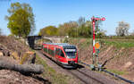 643 014 als RB 81423 (Neustadt(Weinstr) Hbf - Wissembourg) bei Winden 7.4.26