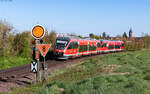 643 013 und 643 016  Fritz Walter  als RB 12434 (Karlsruhe Hbf - Neustadt(W) Hbf) bei Kandel 7.4.26