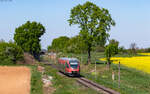643 014  Kirrweiler  als RB 81423 (Neustadt (W) Hbf - Wissembourg) bei Winden 22.4.26