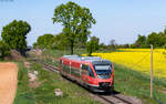 643 014  Kirrweiler  als RB 81423 (Neustadt (W) Hbf - Wissembourg) bei Winden 22.4.26