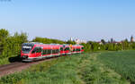 643 016  Fritz Walter  und 643 031  Otterbach  als RB 12416 / RB 12430 (Karlsruhe Hbf - Neustadt(W) Hbf / Landau (Pfalz) Hbf) bei Kandel 22.4.26
