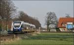 VT703 und ein weiterer VT sind kurz vor Warendorf als RB67 (NWB81556) DER WARENDORFER , Mnster(Westf)Hbf - Bielefeld Hbf, unterwges.