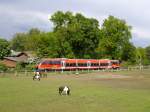 Mit dieser Reihe melde ich mich wieder zurck auf Bahnbilder.
Die Pferde lassen sich durch RB29486 von Mnster nach Gronau nicht stren und fressen weiter.
17.05.2010, Ochtrup

