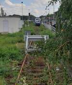 Einst ein Kreuzungsbahnhof mit Strecken in 5 Richtungen ist am 18.09.2023 in Borken nur noch die Strecke nach Essen im regulären Betrieb.