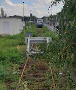 Einst ein Kreuzungsbahnhof mit Strecken in 5 Richtungen ist am 18.09.2023 in Borken nur noch die Strecke nach Essen im regulären Betrieb.