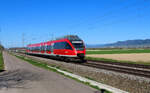 Hohberg - 4. April 2025 : 644 036 als Lz in Richtung Basel unterwegs. 

Link zum Video : https://www.youtube.com/watch?v=OPGOg_i1teo&t=108s