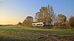 Der 646 110-6 der UBB befuhr am 16.10.17 die Stillegungsbedrohte Strecke Barth-Velgast(-Stralsund), hier am Kenzer Berg als RB29468 auf dem Weg nach Barth wo am Abend die Mahnwache der Bürger in den 6. Monat geht. 
Da mir auch Persönlich was an der Strecke und er Darßbahn was Liegt, möchte ich nun Kurtz darauf Hinweisen: http://www.keinebahnistkeineloesung.de/