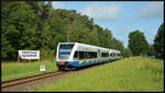 Zwei Triebwagen der Baureihe 646 der Usedomer Bäderbahn passieren am 02.09.2023 bei Kilometer 229,1 das Forsthaus Damerow auf der Ostseeinsel Usedom auf ihrem Weg ins heute polnische Swinemünde.
