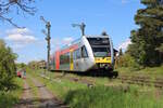 HLB 646 401 verlässt den Bahnhof Ober-Widdersheim als RB46 nach Gelnhausen. (30.04.2023)